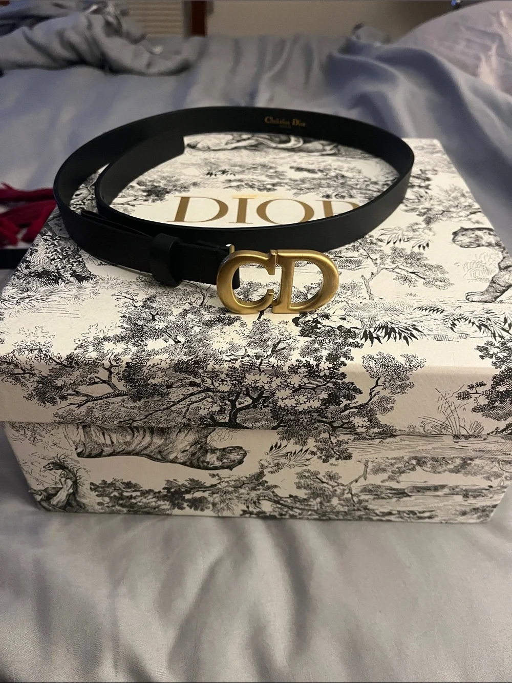 Dior Black Leather Belt with Gold CD Buckle